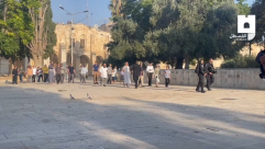 مستوطنون يقتحمون الأقصى بذكرى "خراب الهيكل"